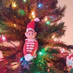 Meet your Posher, Glenda